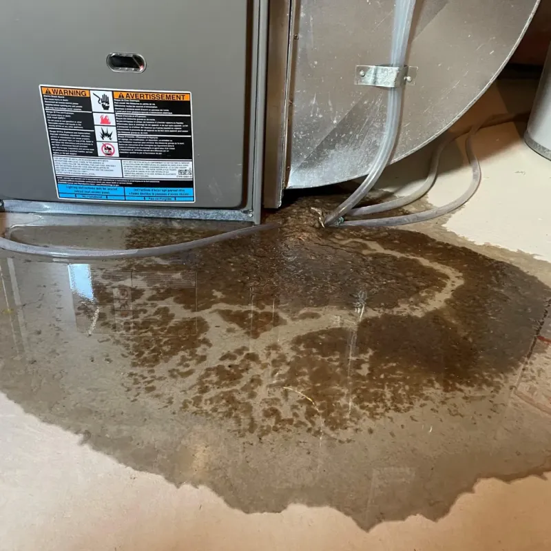 Appliance Leak Cleanup in Sussex, WI